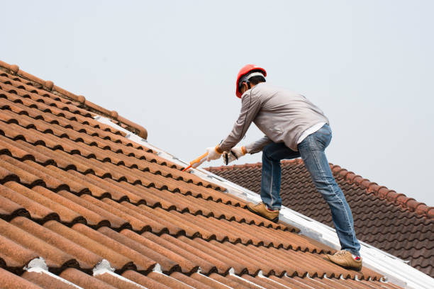Best Metal Roofing Installation  in Eldorado, TX