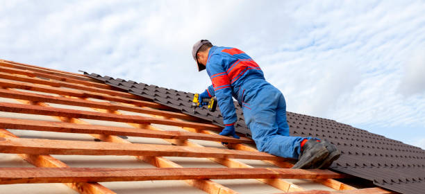 Best Chimney Flashing Repair  in Eldorado, TX